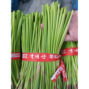 국내산 창녕 마늘쫑 부드러운 햇마늘쫑, 1개, 3kg