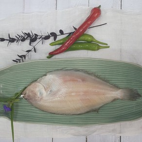 부산 반건조 생선 참가자미 반찬용 구이용, 1개, 대 3마리 (27cm 내외 / 450g 내외)