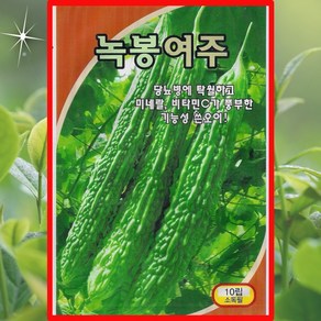 녹봉여주 10립 당뇨병에 탁월하고 미네랄 비타민 C 풍부한 기능성 쓴오이 녹봉여주씨앗, 1개