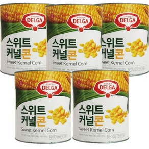 롯데웰푸드 델가 스위트 커널콘 2950g (5캔) 옥수수콘 대용량 통조림, 2.95kg, 5개