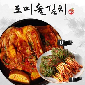 NS홈쇼핑 도미솔 맛있는 포기김치 4kg+파김치 1kg(총5kg)[34151295]