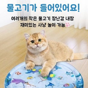 고양이 여름 아이스매트 공기 주입 물침대 반려동물 여름 쿨매트 사냥놀이 공기주입, 1개