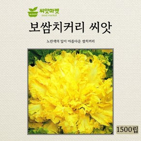 (치커리종자씨앗) 보쌈치커리(1500립) 에스카롤 S2473, 1개