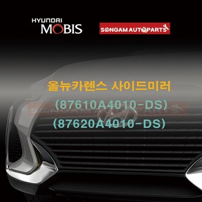 정품 올뉴카니발 사이드미러 (87610A9040-DS)/(87620A9040-DS), 좌측(운전석), K9(크리스탈블루), 1개