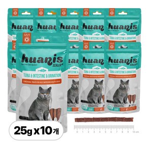 [HUANIS] 스케일러 플러스 고양이 스낵 치석제거 덴탈 간식 참치 25g 10개