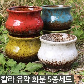 세인화분 다육이 화분 5종 세트 - 다육화분, 05_Sein_가마유약5종(E타입), 5개