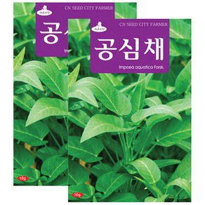 세인화분 공심채씨앗 10g 채소씨앗 공심채 씨앗 씨, 2개