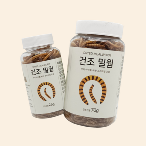 살아있는 국내산 청년밀웜 수퍼밀웜, 건조밀웜(1+1미포함상품), 25g, 1개