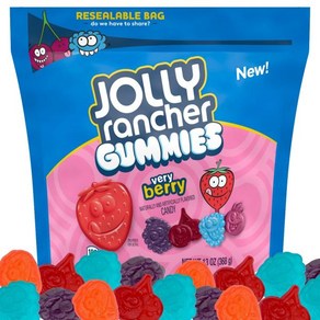 구미 젤리 JollyRanche Gummies Vey Bey 13oz Bags (2팩) 캔디 과일 맛 재봉인 가능한 백 The Hampton Candy Compan, 2개, 368g