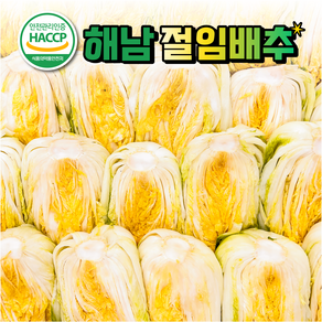 오마이찬 해남 절임배추 - 100% 국산 HACCP 절임배추 김장배추, 20kg, 1개