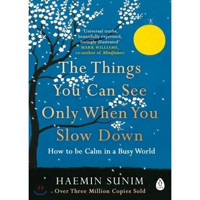 The Things You Can See Only When You Slow Down : How to be Calm in a Busy World Paperback 영국판