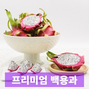 일등농수산 프리미엄 베트남 백용과, 1개, 1kg 2-3과