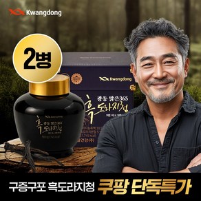 광동맑은365 국내산 흑도라지청 구증구포 도라지진액, 2개, 500g