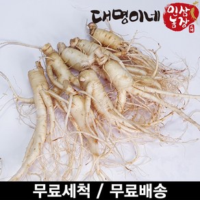 금산인삼 오쿠용 1회분 세척 인삼 수삼 난발 원삼(250g), 1개, 난발 8뿌리내외(250g)