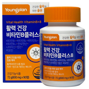 영진약품 영플랜 활력 건강 비타민B 플러스8 800mg 판토텐산, 90정, 5개