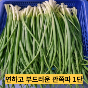 [국내산] [신선식품] 쪽파 깐쪽파1kg내외 잔파 실파 당일손질, 1개