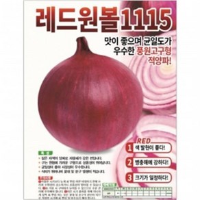 아시아종묘 씨앗 적양파 레드원볼1115 2.5g