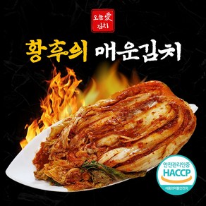 프리미엄매운김치 황후의 매운김치 맛있게매운김치 국내산재료, 1개, 5kg