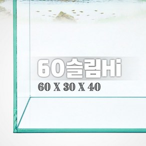 그린월드60 슬림Hi 수조 (일반) (60x30x40 6T), 1개, 일반, 60x30x40