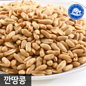 장수왕 깐땅콩(반태땅콩) /반태 땅콩 중부시장도매 견과류, 1kg, 2개