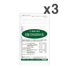 핵산 DNA RNA 300mgx90정 3개 연어이리 효모 일본, 90정