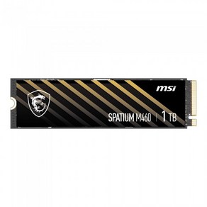 MSI SPATIUM M460 M.2 NVMe (1TB), 1TB