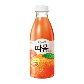 빙그레 따옴 자몽 아이스보냉백포장, 730ml, 6개