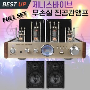 제니스바이브 무손실 진공관앰프 하이파이 블루투스 5.0 고출력 스피커 무선 리모컨 풀세트, B 제바 플레티넘 골드