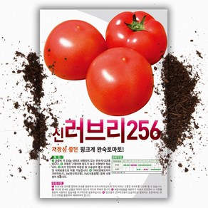 완숙토마토 씨앗 (20립), 1개