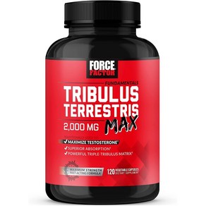 포스팩터 트리뷸러스 2000MG 120캡슐, 알약/캡슐, 1개, 120정