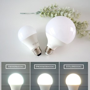 삼색변환 전구 밝기조절 다마 LED 8W 12W 듀얼 램프 삼색조명, R_색변환 벌브 8W, 1개