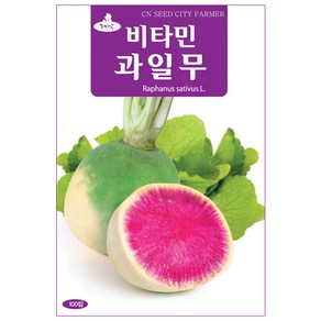 세인화분 비타민 과일무 100립 - 국산 무 무우 씨 씨앗, 1개