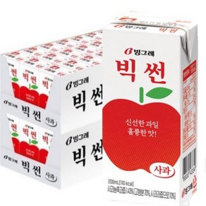 빅썬 사과 주스, 200ml, 48개