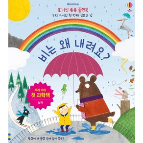 Usborne비는 왜 내려요?:우리 아이 첫 과학책 | 날씨