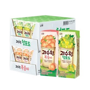 과수원 복숭아/청포도 190ml 24+24팩 (총 48팩) 대용량 어린이집 간식 교회, 1세트