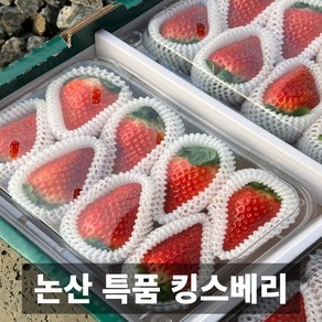 금메달농수산 산지직송 특품 킹스베리 딸기, 1개, 특특/500g