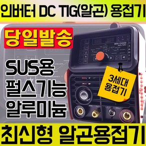 웰즈 WIG-250AD 인버터 AC/DC 알곤 용접기 수동 자동 미니 경량 휴대 LCD 휴대용 전기 티그 가정용 TIG, 1개