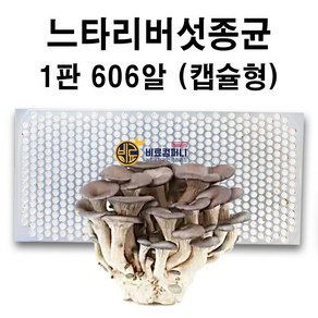 [느타리버섯종균] 606구 (캡슐형) 텃밭 주말농장 버섯종균 씨감자 모종 비료 느타리 버섯 재배 키우기 종균 모종, 1개, 500g내외