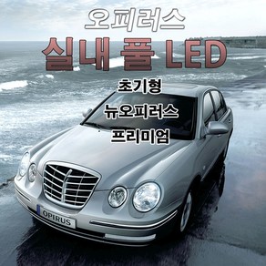 오피러스 LED 실내등 신형 전방 후방 고광량 파워LED, 28mm3030LED(2P), 1개