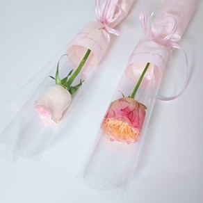 3개세트 양재꽃시장 카네이션 장미 생화 한송이 꽃 포장 생화택배, 3개, 카네이션 연한색