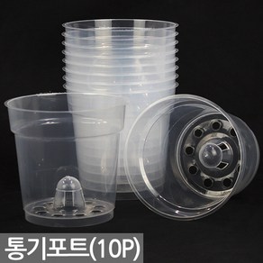 난초 투명 통기 포트 10P - 4치 난 화분 란 식물 육묘 플라스틱 이색 플분 서양 동양 모종 심기 삽목 묘목 분갈이 인테리어