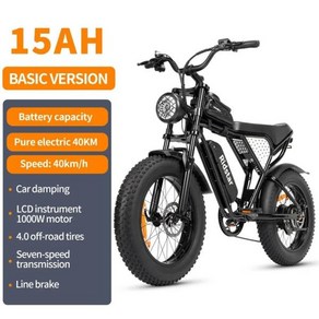 Ebike Ridsta Q20 Po 2000W 듀얼 모터 40AH 듀얼 배터리 속도 60 km/h 20*4 팻 타이어 전기 자, 1개