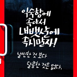 꾸밈 cj964-익숙함에속아내뱃살에속지말자그래픽스티커 그래픽스티커, 초코릿브라운