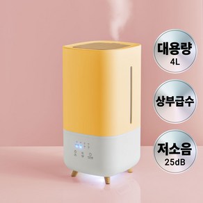 초저소음 무드등 대용량 초음파 가습기 4L