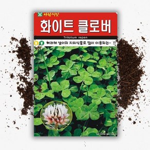 화이트 클로버씨앗 (20g)