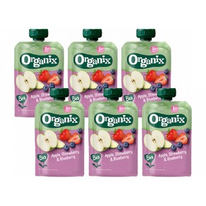 Oganix food 퓨레 오가닉스 유기농 고영양 이유식, 6개, 100g