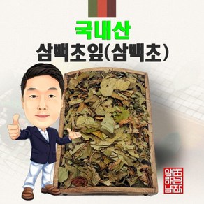 국내산 삼백초 100g (경북 영천) 국산 삼백초잎