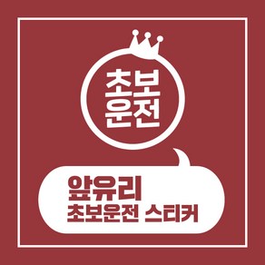 헬로팸 앞유리 초보운전 스티커 디자인08