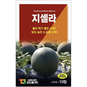 더드림 [지셀라] 수박씨앗 수박종자 / 당도 높은 흑피 소과종 수박씨, 1개