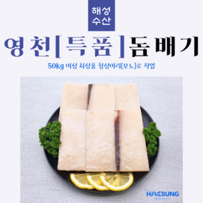 [특품] 제수용 돔배기 영천돔배기 돔배기산적 상어산적 돔배고기, 1개, 600g